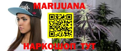 трава Кингисепп