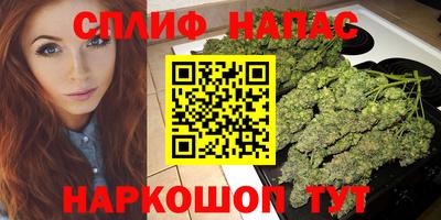 PSILOCYBIN Кимры