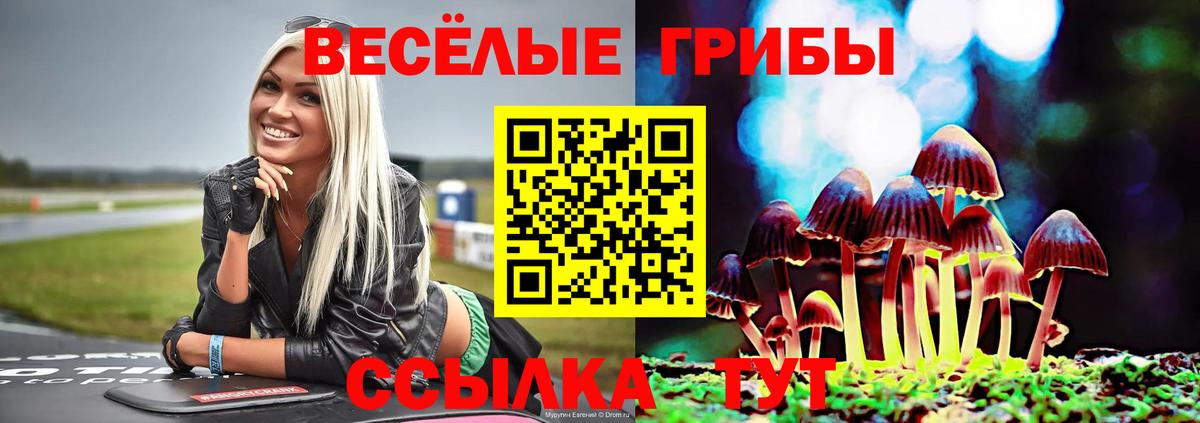 Галлюциногенные грибы GOLDEN TEACHER  Вход с VPN  закладки  Галлюциногенные грибы ЛСД  Туймазы 